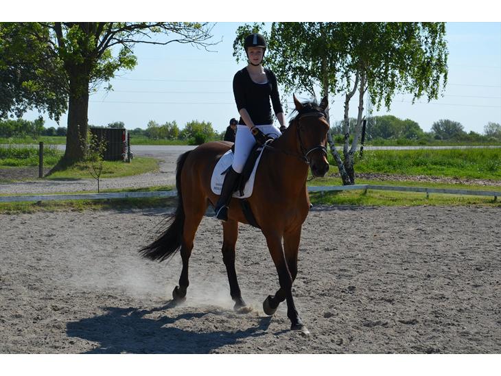 {{currentPhoto.altText}} billede {{currentPhoto.number}}