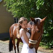 Anden særlig race Charming Miss Rico