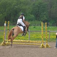 Anden særlig race maya