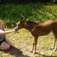 Oldenborg Prinsesse Estelle <3