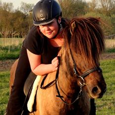 Islænder Reykur fra Valhalla