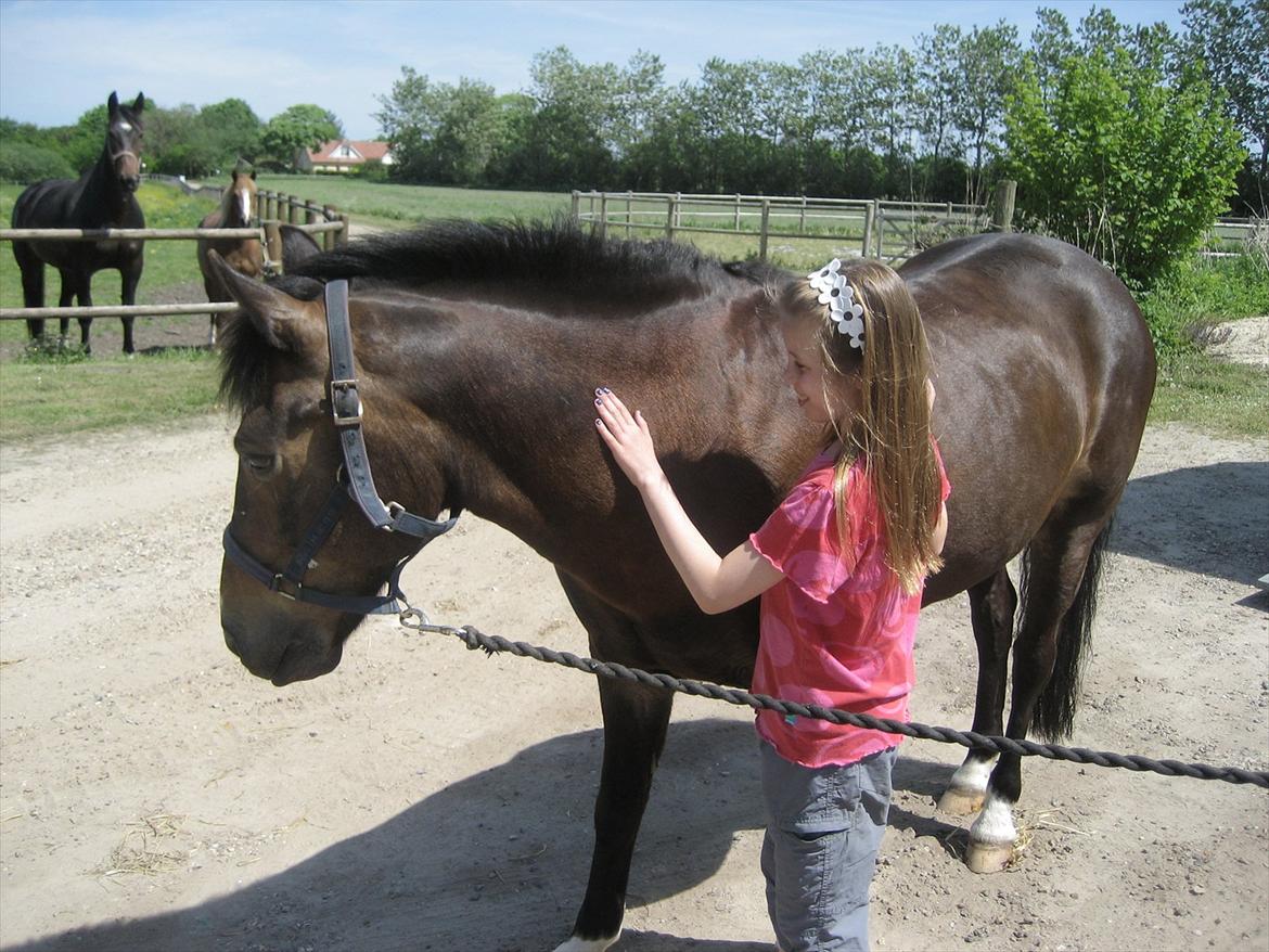 Anden særlig race Carino - Da han kom hejm <3 billede 12