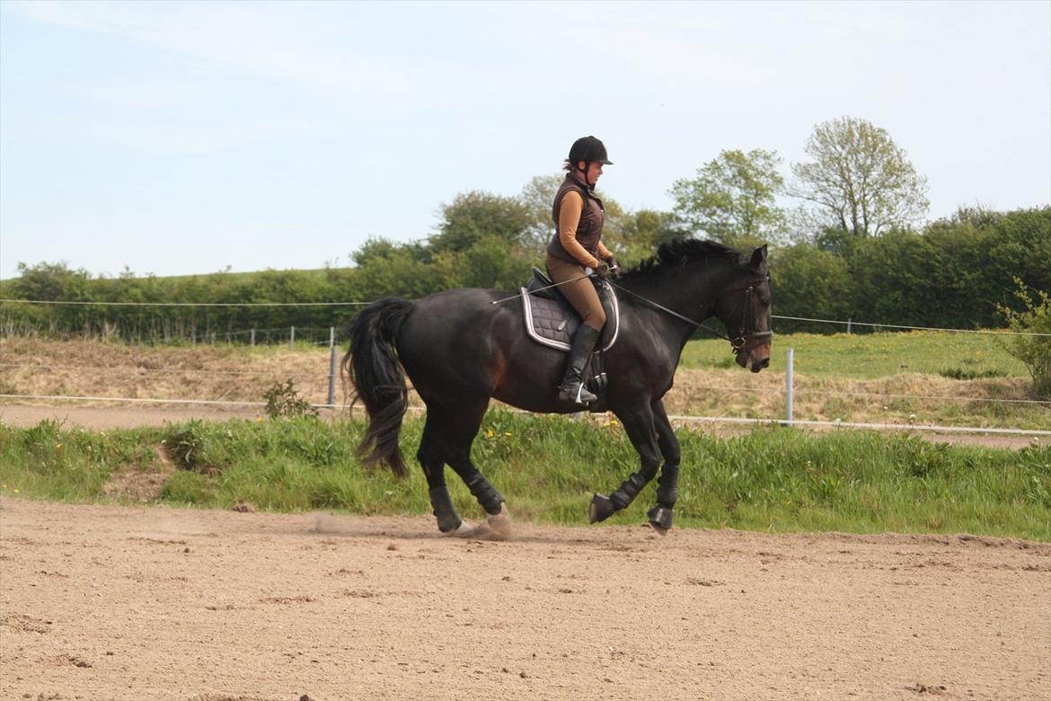 Oldenborg Monique *Gl. Part* billede 18