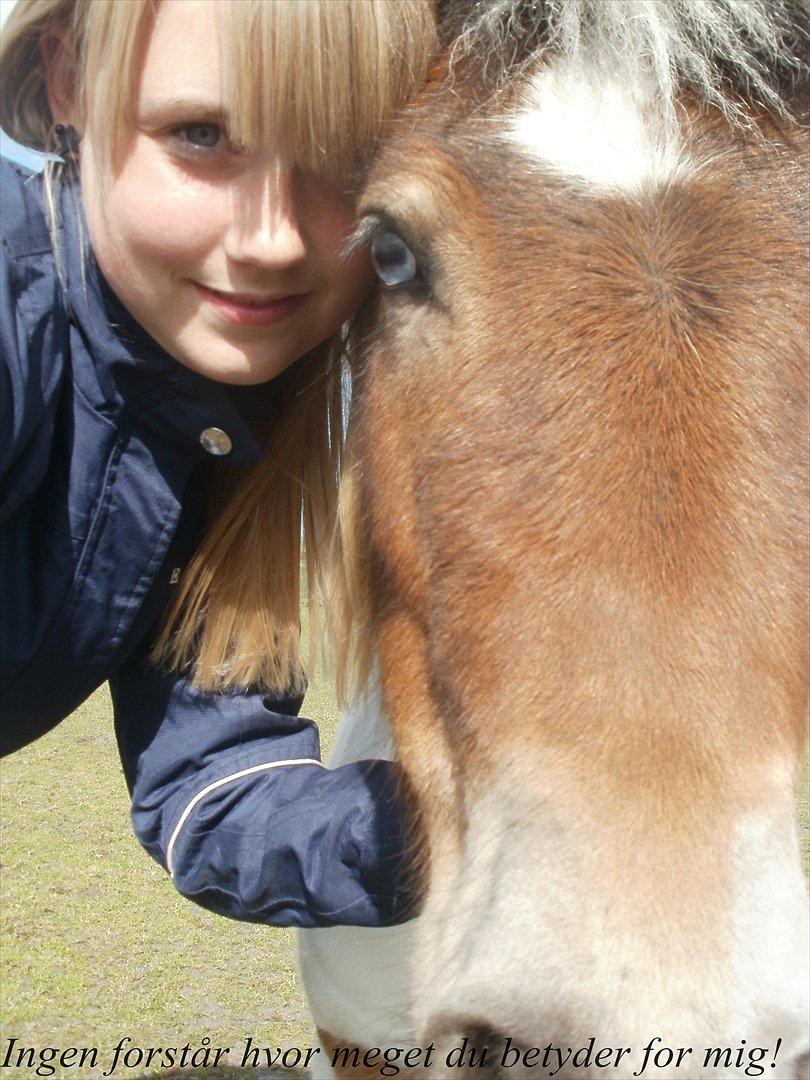 Anden særlig race KIKI BABY - “Venskabet er først ægte, når to venner, uden at mæle et ord, kan glæde sig ved blot at være sammen” billede 3