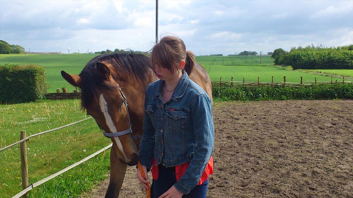 Dansk Varmblod Best Choices * My Soulmate* - Har du noget og spise(: billede 16