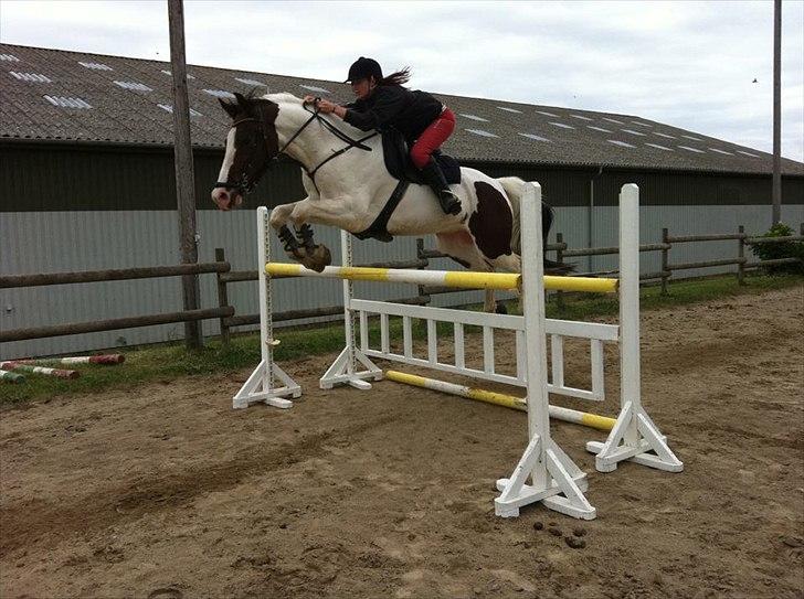 Pinto Picasso(my soulmate) - 'mig og pix fra den 30-05-12. :D. 

120-130:D. billede 9