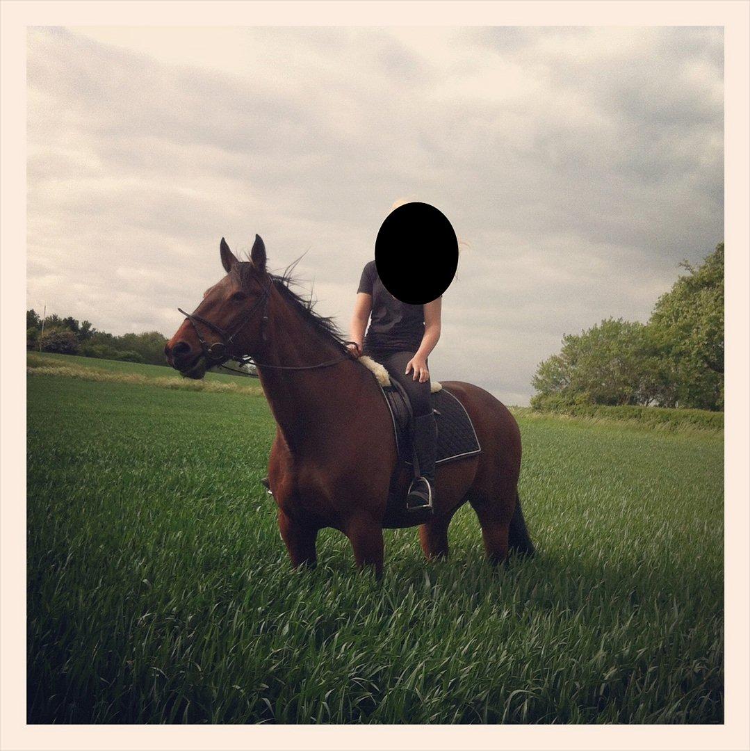 Traver Kenzo - My dream <3 billede 1