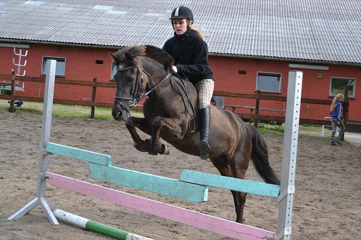 Anden særlig race Malou - Spring uden sadel, med dejlig tålmodig pony :D Foto: Lisa aka. Lollypop billede 14