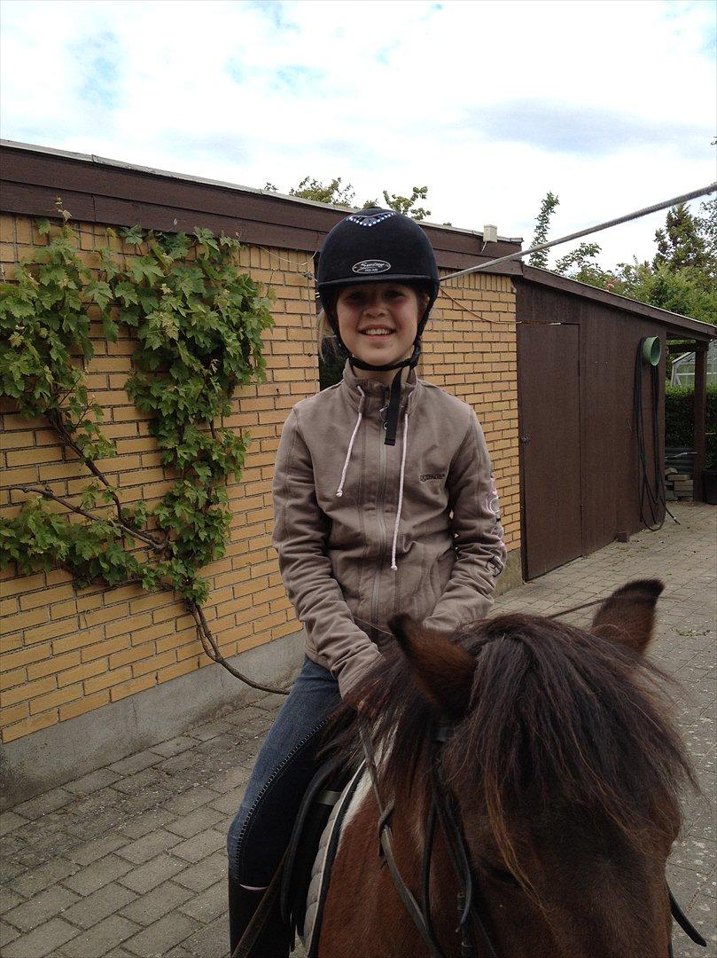 Pinto klaus - hos farmor og farfar :D billede 4