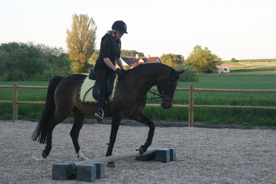 DSP Klintens Czarina - Første gang!;-) billede 4