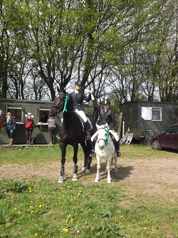 Dansk Varmblod Birkemosens Achilleus - Mig og Isabel til stævne <3 Maj 2012 billede 17