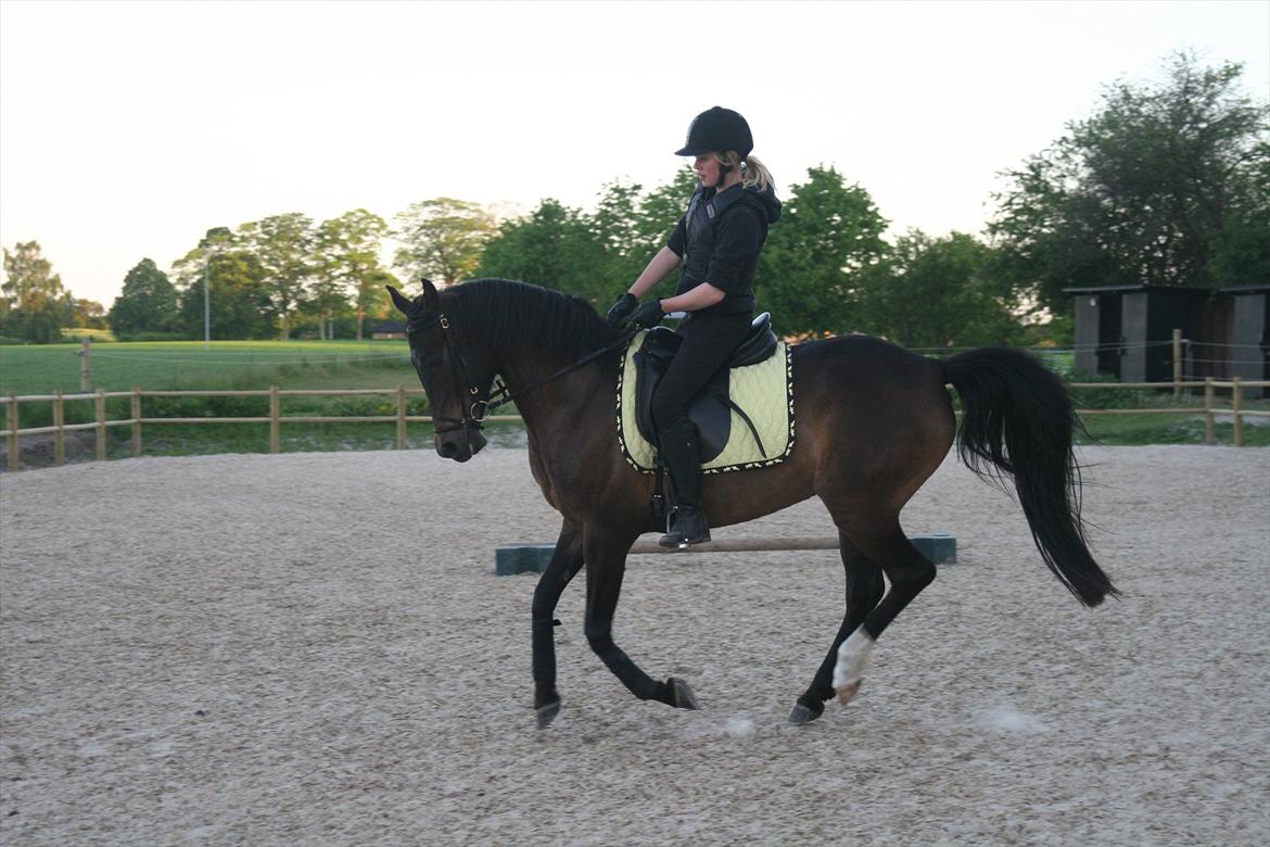 DSP Klintens Czarina billede 9