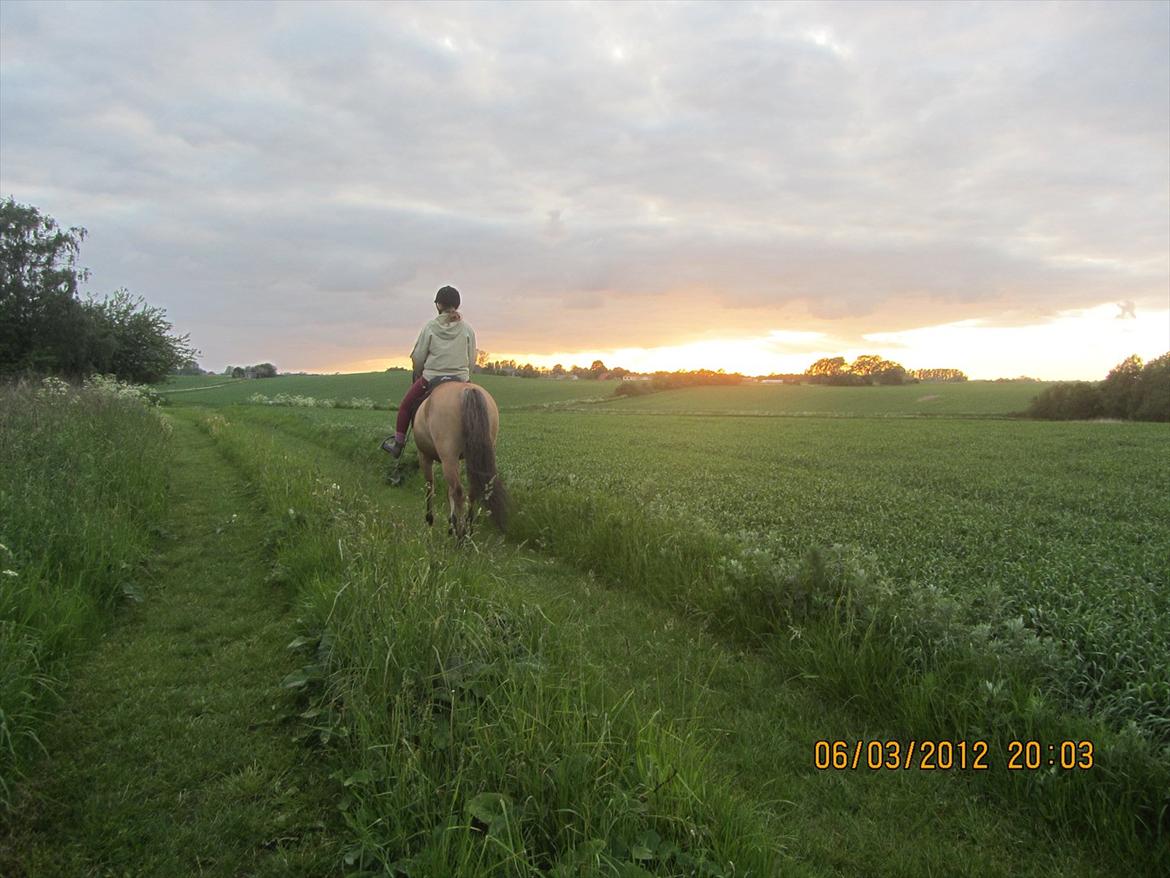 Anden særlig race Perle - Sommer '12 - Tak fordi i kiggede :-) billede 20