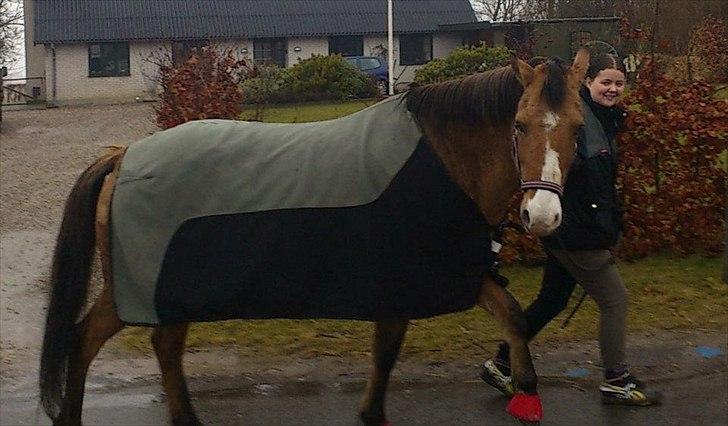 Anden særlig race ronja billede 5