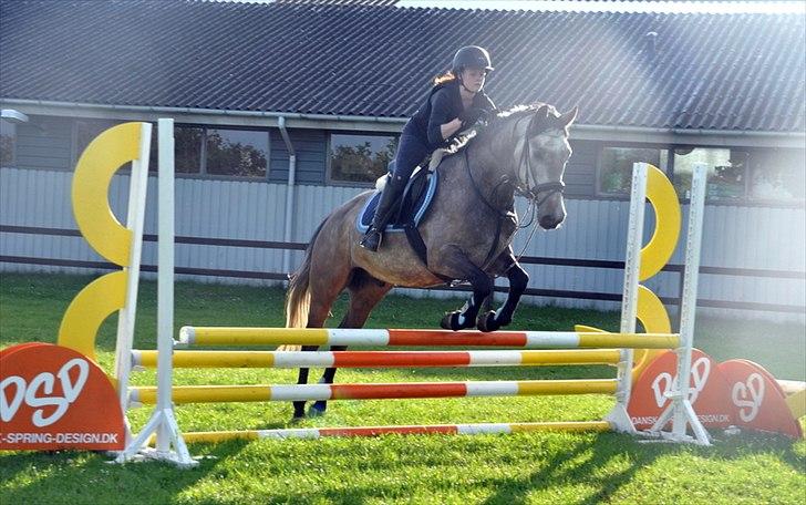 Anden særlig race Hegnsholts Felix - Spring 29/5 2012 billede 9