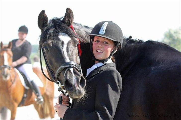 Sportsaraber (A) helleruphus pandora - MEGET stolt ejer med sin fine lille hest og hendes 1. plads billede 11