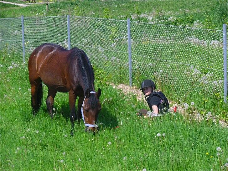 Connemara Tobæks Isabella <3 - Hygge  billede 13