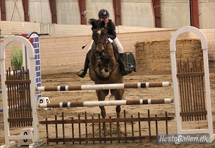 Irsk Sportspony Carlton Flight [Himmelhest] - har lige pt. ikke nogle springbilleder af mig så har taget nogen med Alexandra Holm :) billede 9
