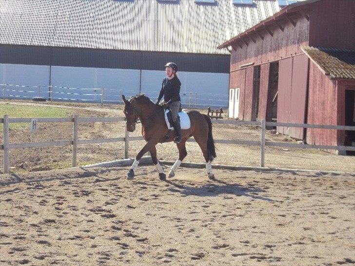 Oldenborg DA VINCI ALSTRUP - Slut 21 August 2012 :-( - April 2012.
6 år.
Øvelse bringer en mester frem en dag. <3 billede 17