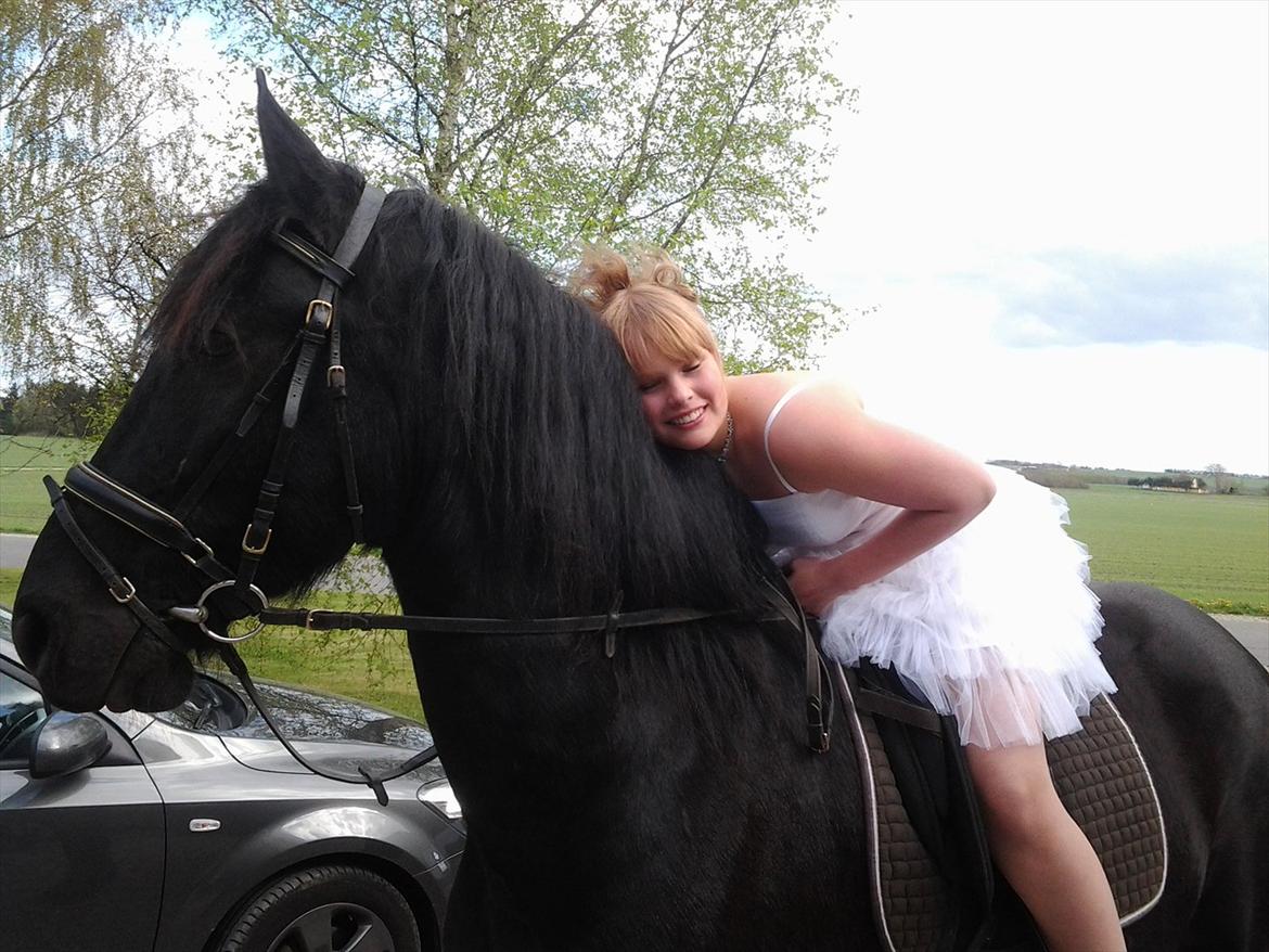 Frieser Tsjitse F Hyllested Østergaard billede 1