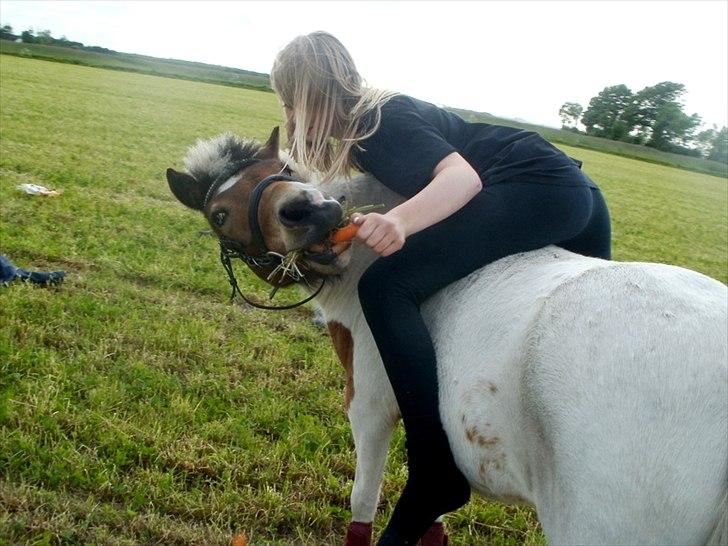 Anden særlig race KIKI BABY - Min bedste & jeg nyder vores sidste dag sammen! <3 billede 15