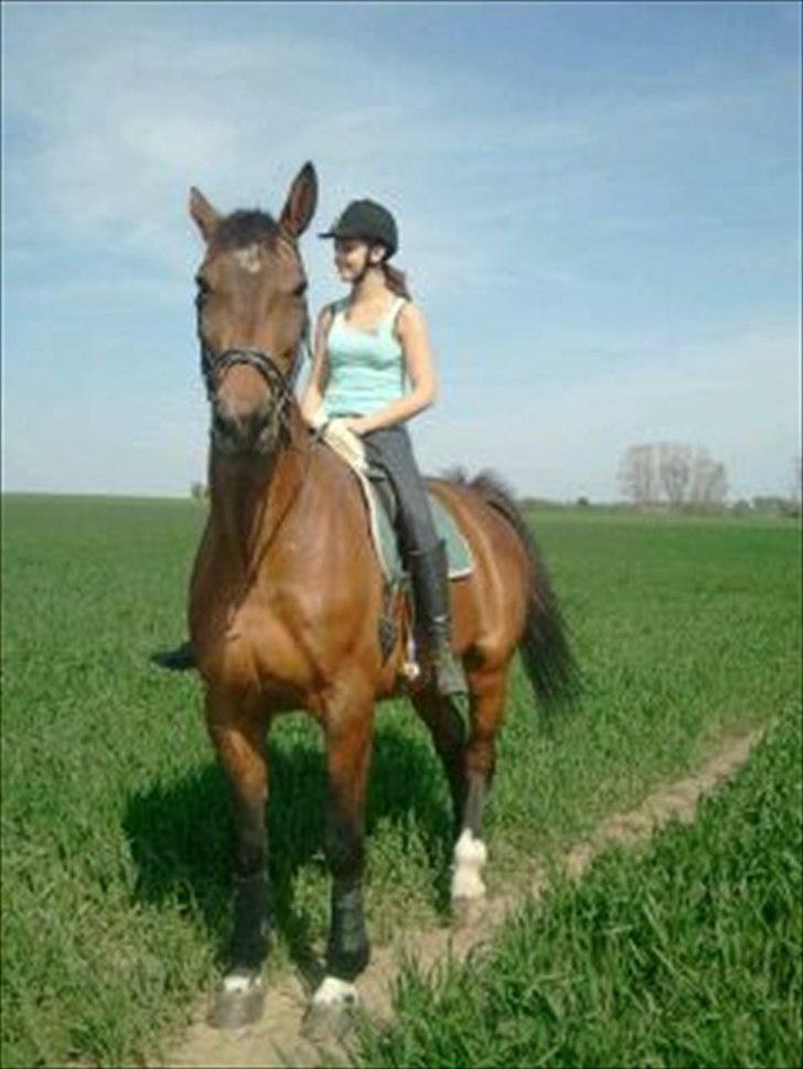 Dansk Varmblod Lucky Lime - Hygger lidt meget på marken sammen med hesten og moar billede 15