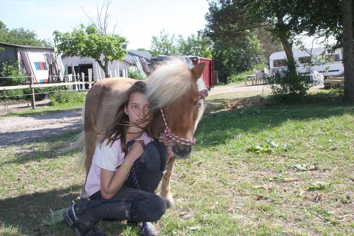 Anden særlig race Freja min gamle passer - min SMUKKE freja<3 billede 9