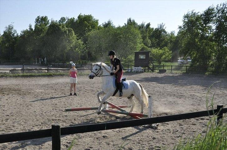 Connemara Asmindrupgårds Lorenzo<3 (passer) - springe kan du jo også! billede 11