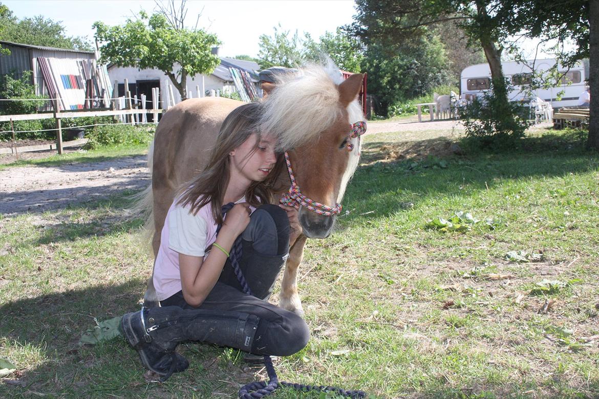 Anden særlig race Freja min gamle passer - Så skal man lige tjekke om man har noget guf i hånden:) billede 15