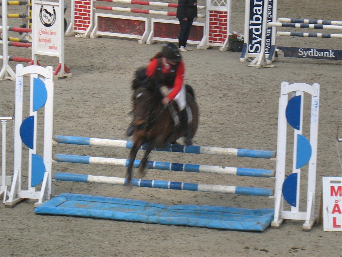 Hollandsk Sportspony Elim - Stævne :) billede 9