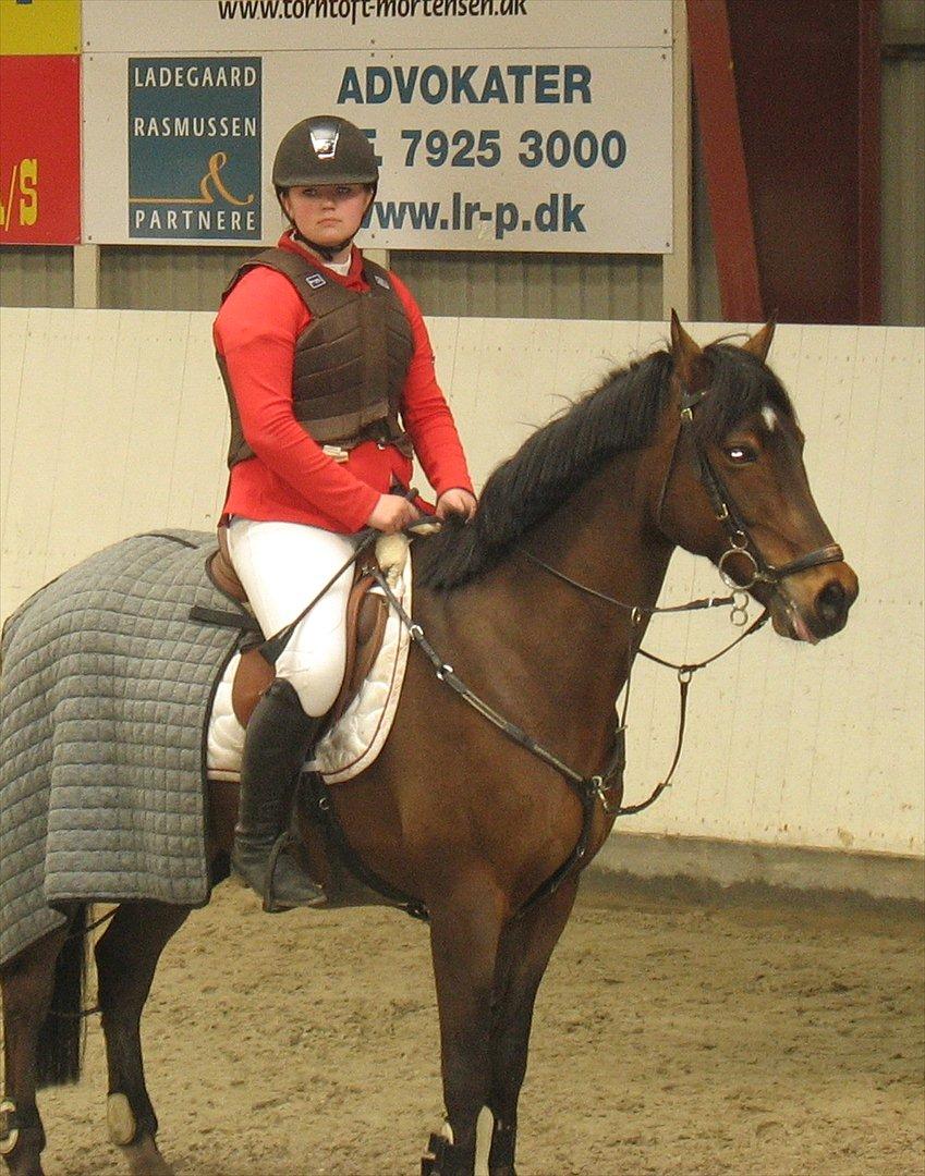 Hollandsk Sportspony Elim - bassen får en roset :-) billede 11
