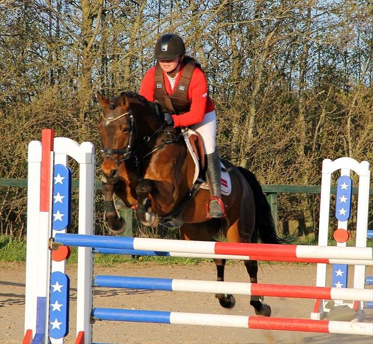 Hollandsk Sportspony Elim - MB i Farsø :-D billede 2