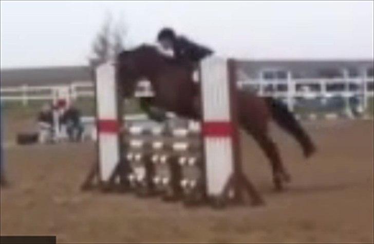 Anden særlig race Bøgelunds Zarina - la på helsinge, første stævne :-) dårligt kval, da det er taget fra video ;-) billede 16