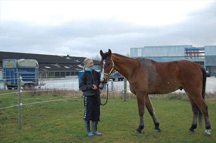 Anden særlig race Bob <3 (R.I.P :'( <3) - Fotogen selvom gulerødderne spises. :) <3 billede 17