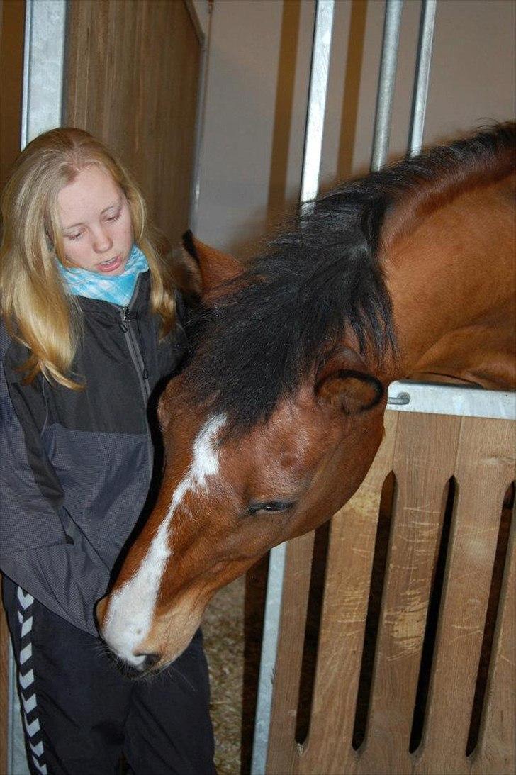 Anden særlig race Bob <3 (R.I.P :'( <3) - Me gustás tú! <3  billede 19