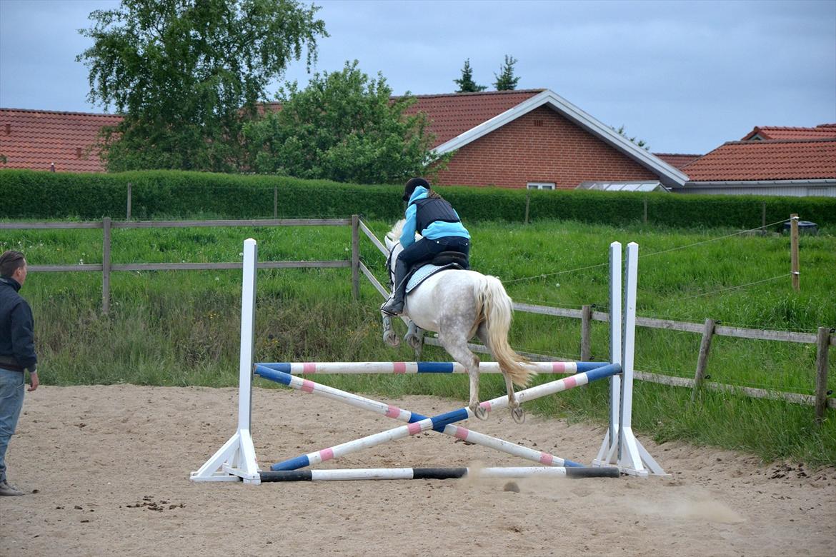 Anden særlig race Cedric Vasseur - Du betyder sku en del!<3 billede 16