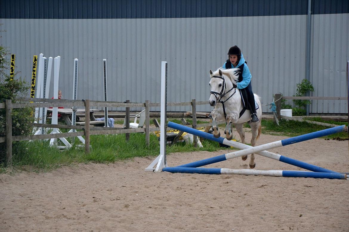 Anden særlig race Cedric Vasseur - vi kan gå gennem ild og vand sammen:-* billede 17
