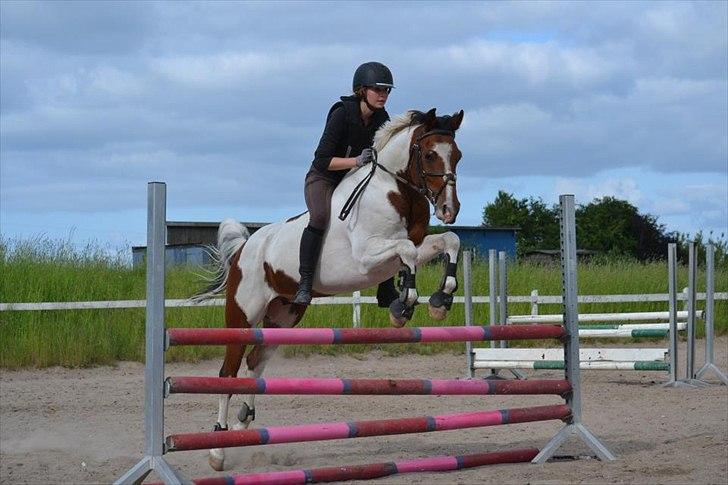 Pinto Hidalgo - Uden saaaaaadel :-P <3 Foto: Simone Toft billede 10