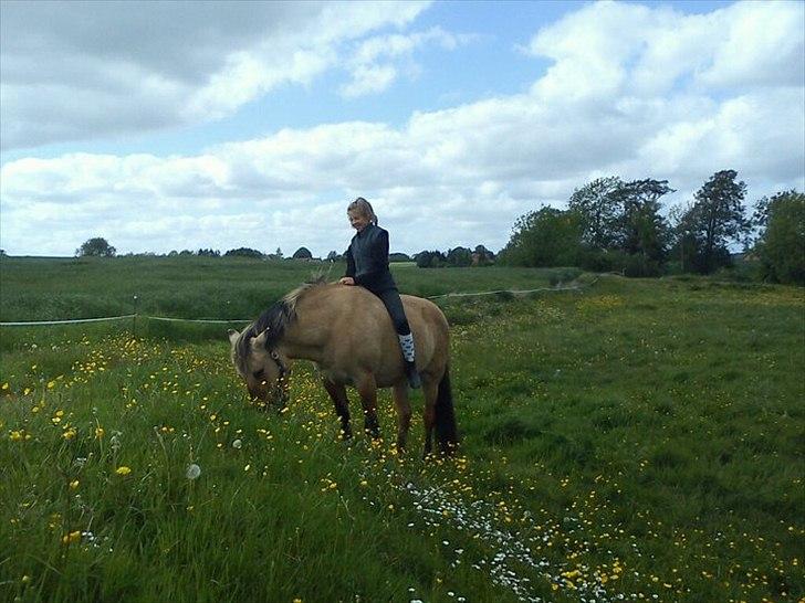 Anden særlig race Tikka - Engang i år 2011, 1 årsdag med tøsen <3 billede 9