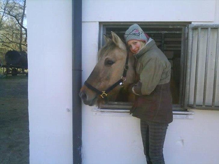 Anden særlig race Tikka - Da hun stod i børkop <3
Havde haft hende i 5 måneder <3 billede 12