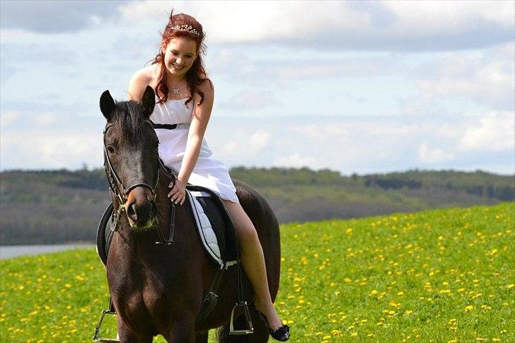 DSP DiNozzo IWE. - 6. maj 2012, konfirmationen. Foto: Mie Skoubo. billede 9