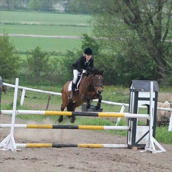 DSP Cassidy - Min skat i La* ;-) billede 9