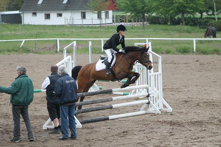 DSP Cassidy - Lb** Vandt med 13 sek! Den pony er ubeskrivelig! billede 10