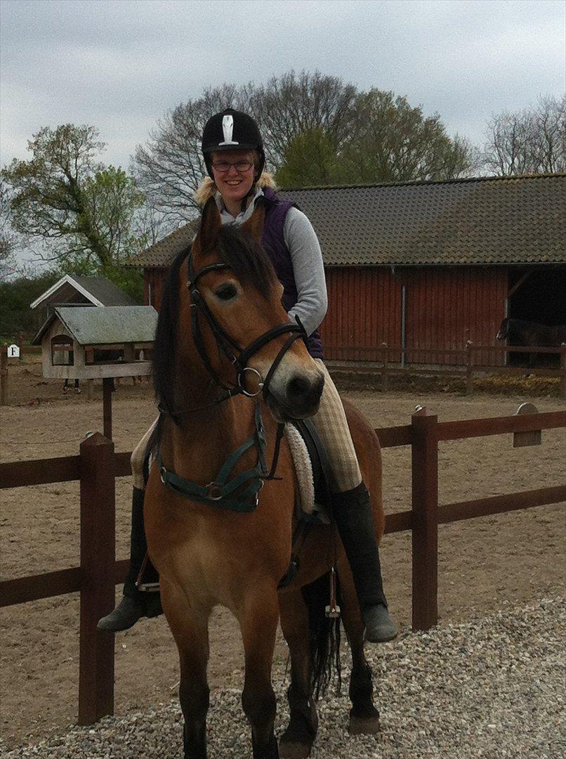 Anden særlig race Don Vito <3 Min gammle pony<3 billede 19