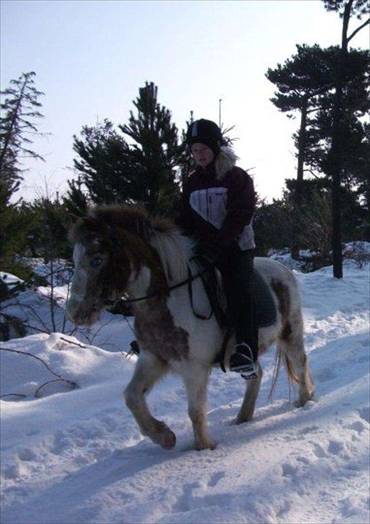 Anden særlig race Winnetou - Første gang vi rider i sne :-* 
Hun var skøn <3

*Vinterferien 2010 billede 4