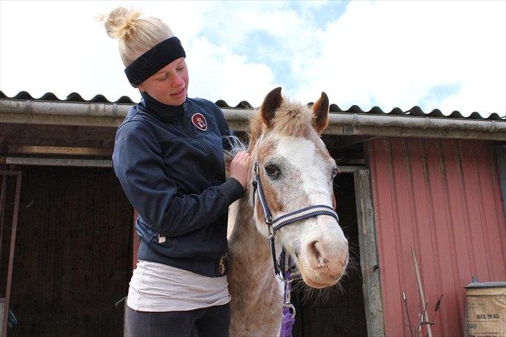 Anden særlig race Winnetou - -Winnetou. Jeg savner sådan at ride dig, men er glad for jeg kan være der for dig og du for mig. Når dine små øjer stritter fremme er det som om en lille flamme tænder inde i mig, den lille flamme vil aldrig forsvinde :-*

* Storbededags Ferie 2012  billede 6