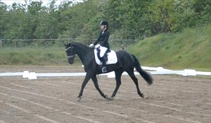 Oldenborg Bianca af Tanderup (Gippe'sen) - Stævne i Rebild den 2 juni 2012
LD2 - 68,89% Et super dejligt program, første ridt hvor både mig og Bianca slappede 100% af :D billede 17