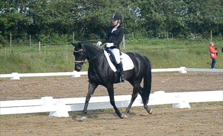 Oldenborg Bianca af Tanderup (Gippe'sen) - Stævne Rebild den 2 juni 2012
LC1 - 60,00% Jeg havde lavede ALT i mini udgave xD (IKKE BIANCAS FEJL!!) billede 18