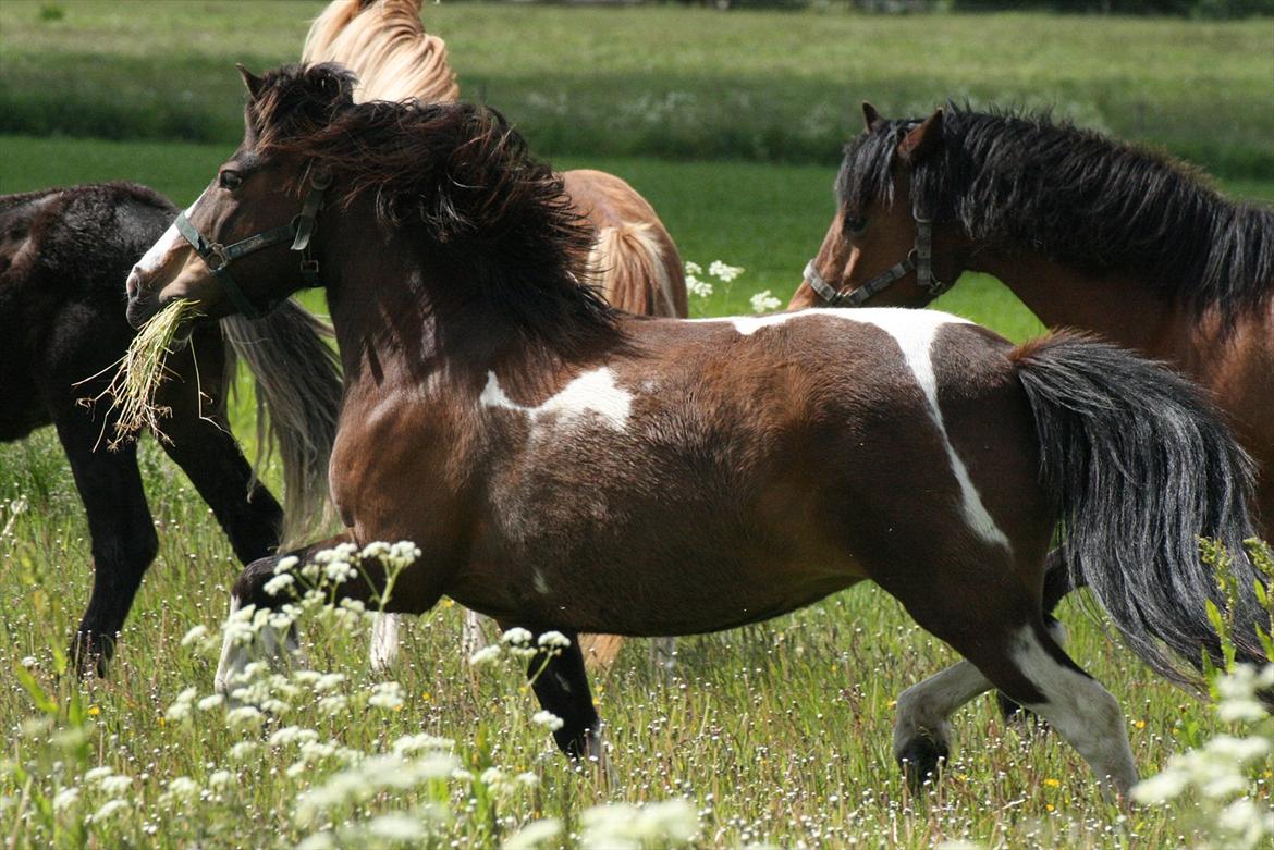 Anden særlig race ~||FRIDA||~<3 billede 19
