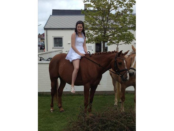 {{currentPhoto.altText}} billede {{currentPhoto.number}}